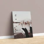 canvas framed single photo